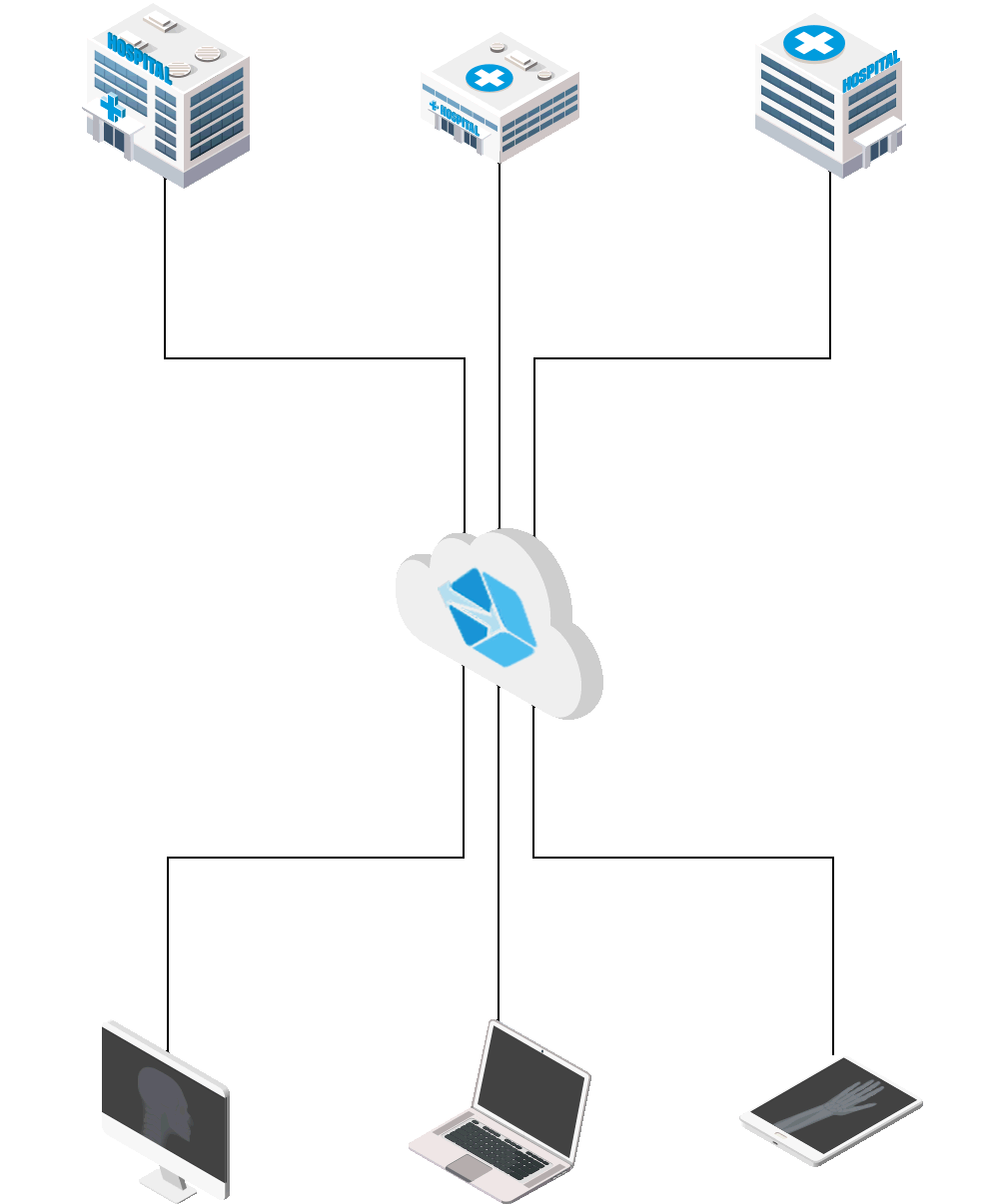 Animated Vector - V2